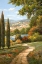 Picture of SUMMER PATH