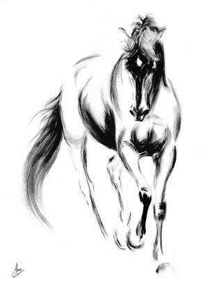 Picture of MAJESTIC I