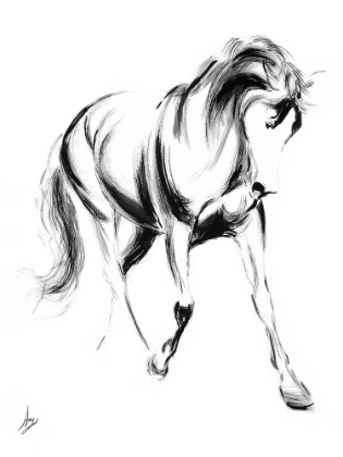 Picture of MAJESTIC II