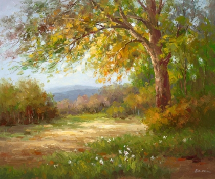 Picture of THROUGH THE WOODS