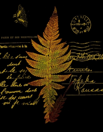 Picture of FOREST FERNS IV
