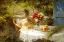 Picture of A COUNTRY TABLE