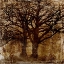 Picture of WISDON OF AGES