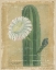 Picture of CACTUS VARIETIES III