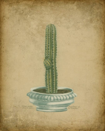 Picture of CACTUS IN ORNATE URN