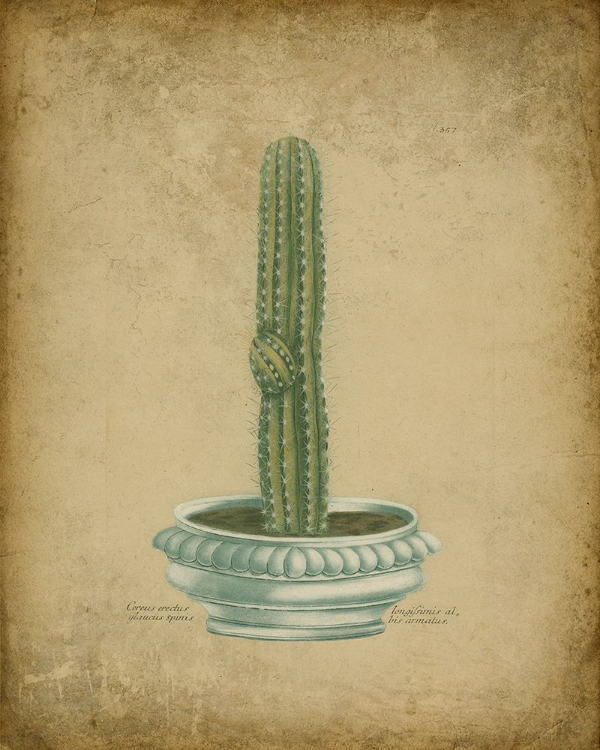 Picture of CACTUS IN ORNATE URN