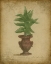 Picture of ALOE IN TALL URN