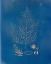 Picture of SEA LIFE II