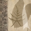 Picture of LEAF SILHOUETTE I