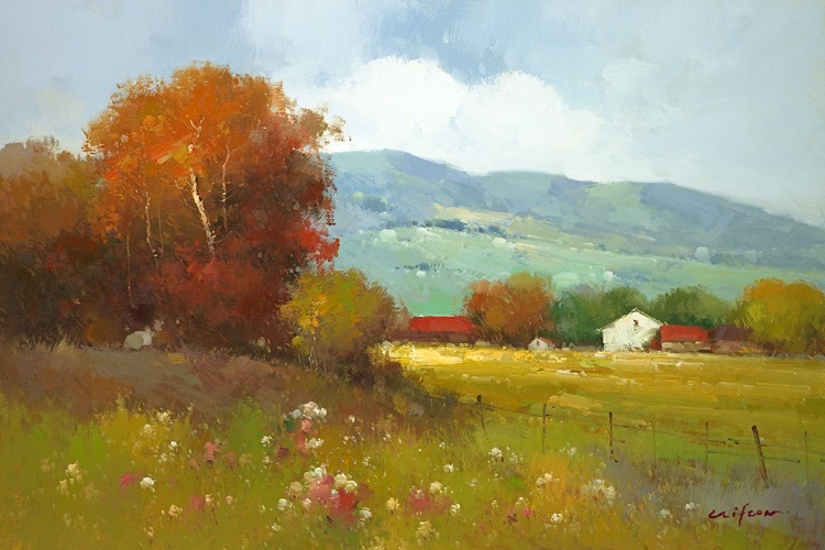 Picture of OUT IN THE COUNTRY