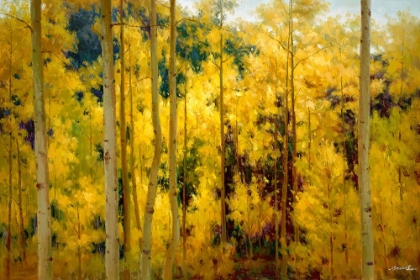 Picture of AUTUMN RADIANCE