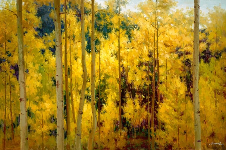 Picture of AUTUMN RADIANCE