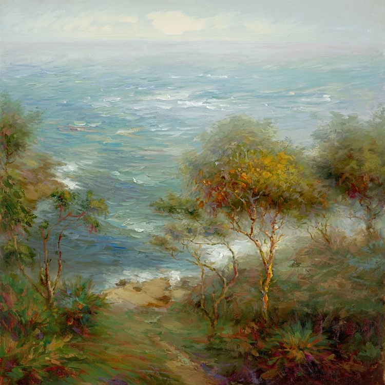 Picture of TO THE COVE