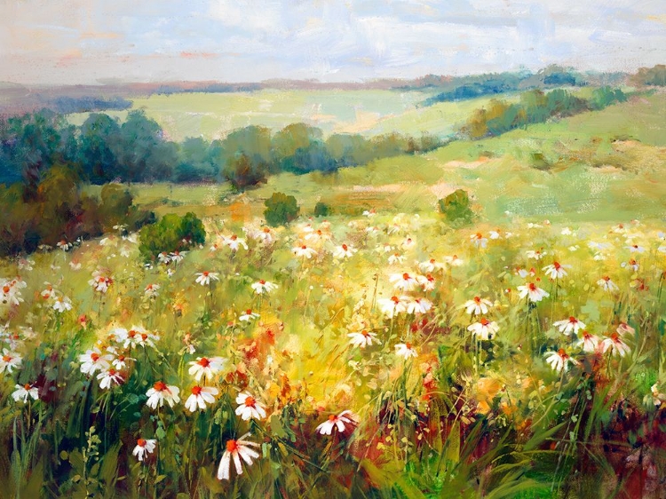 Picture of WILDFLOWER MEADOW