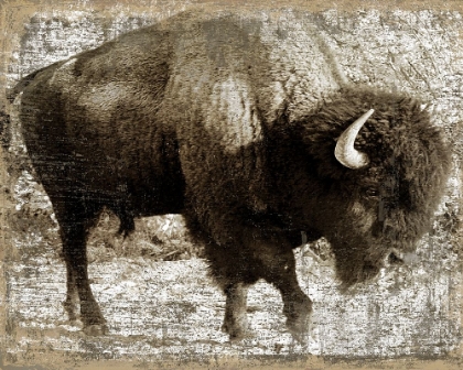 Picture of VINTAGE WESTERN
