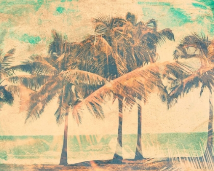 Picture of ISLAND MEMORIES