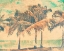 Picture of ISLAND MEMORIES