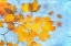 Picture of LEAVES