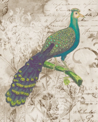 Picture of PEACOCK I