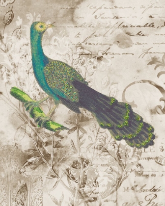 Picture of PEACOCK II