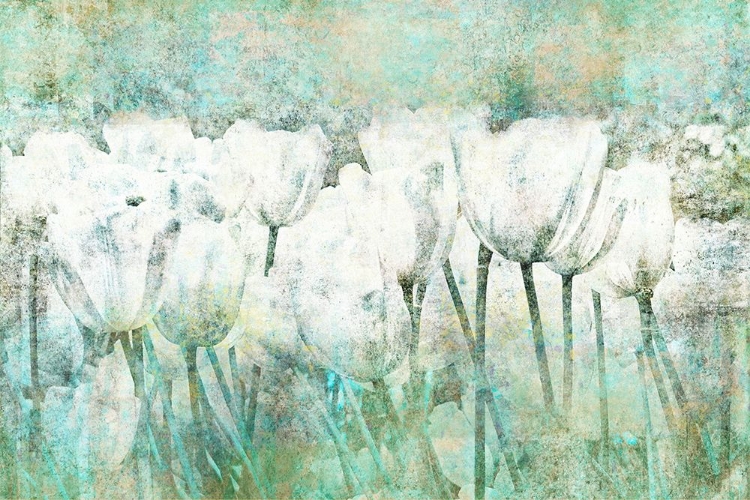 Picture of ABSTRACT TULIPS II