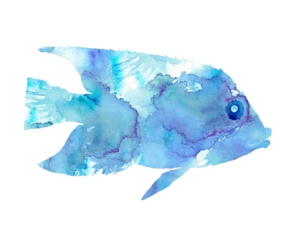 Picture of WATERCOLOR FISH II