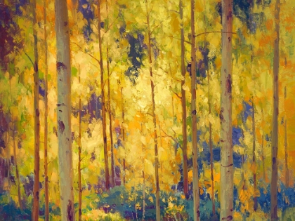 Picture of ASPEN GOLD