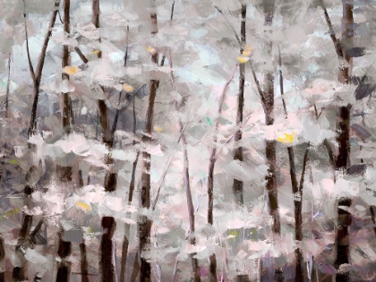 Picture of QUIET WOODS I