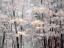 Picture of QUIET WOODS II