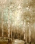 Picture of ASPENS IN THE LIGHT