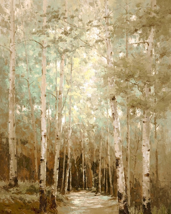 Picture of ASPENS IN THE LIGHT