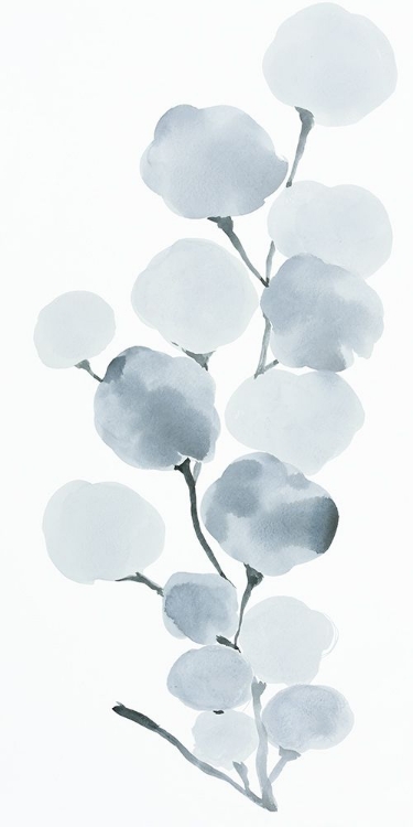 Picture of GRAY BOTANICAL I