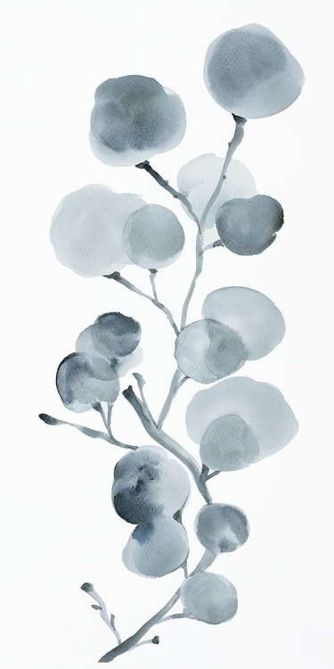 Picture of GRAY BOTANICAL II