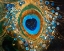 Picture of PAINTED PEACOCK FEATHER