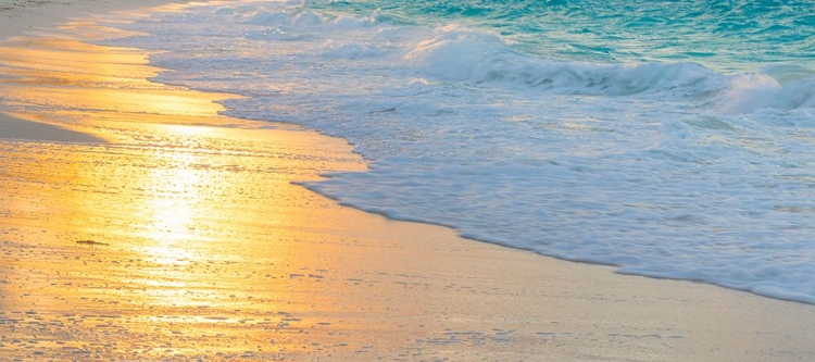 Picture of BEACH SUNSET
