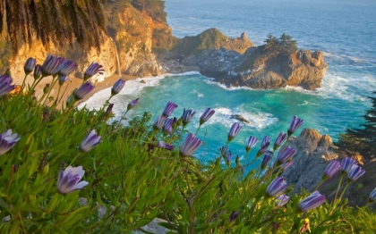 Picture of COASTAL FALLS