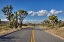 Picture of JOSHUA TREE BACKROAD