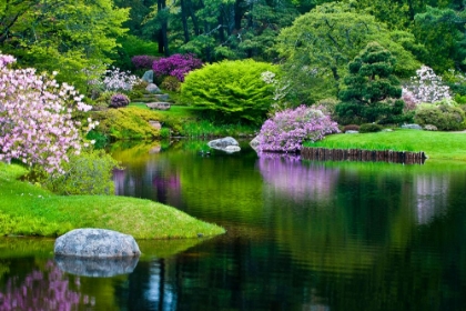 Picture of AZALEA GARDEN