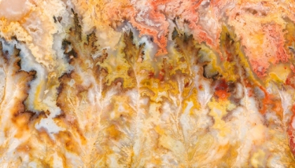 Picture of AGATE STONE CLOSE-UP