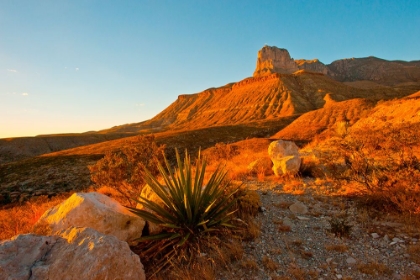 Picture of DESERT MOUNTAINS IN THE SUNSET
