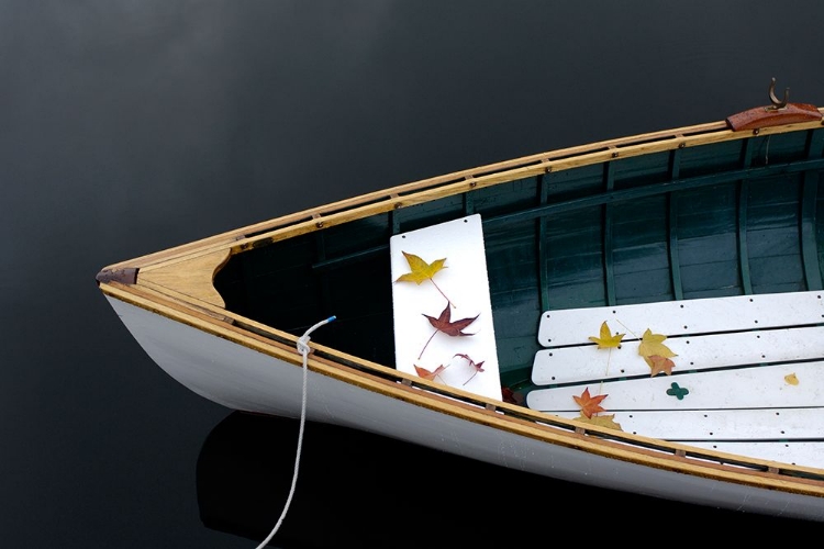 Picture of ROWBOAT AND FALL LEAVES