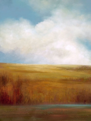 Picture of PAINTED PRAIRIE I