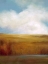 Picture of PAINTED PRAIRIE I