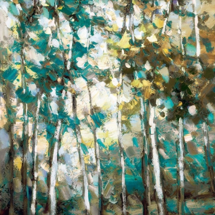 Picture of FOREST LIGHT