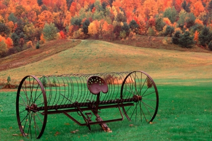 Picture of AUTUMN FIELDS