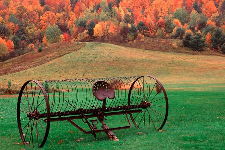 Picture of AUTUMN FIELDS