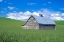 Picture of BARN IN ROLLING FIELDS