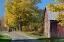 Picture of COUNTRY LANE IN FALL