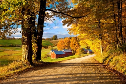 Picture of A FARM IN FALL