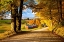 Picture of A FARM IN FALL
